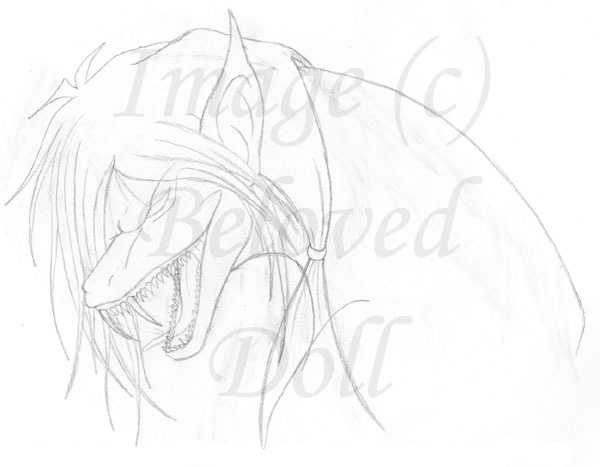 Dark-Void Sketch